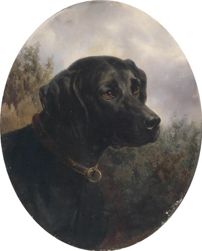Hector, Pointing Dog of Arthur Ritter von Schnapper by Karl Reichert